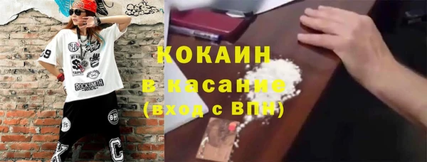 сатива Белокуриха