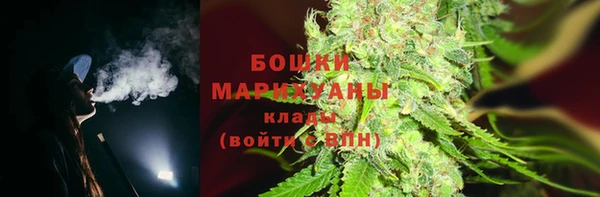 сатива Белокуриха