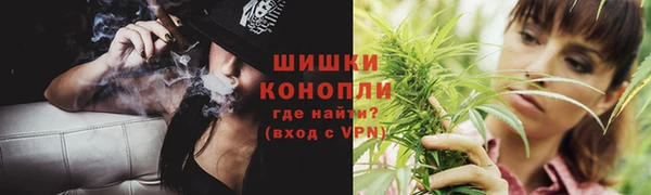 сатива Белокуриха