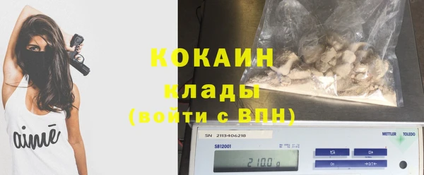 сатива Белокуриха