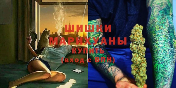 сатива Белокуриха