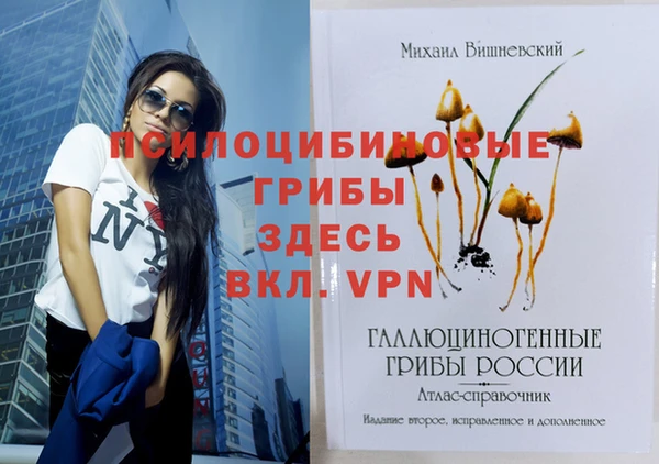 гидра Беломорск