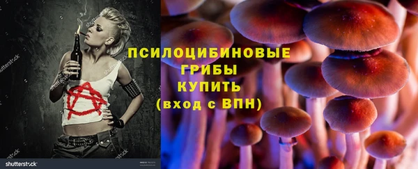 гидра Беломорск
