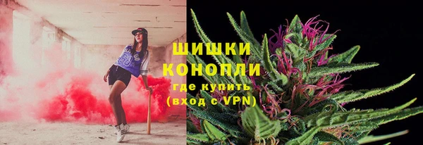 сатива Белокуриха