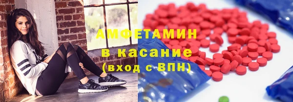индика Балабаново